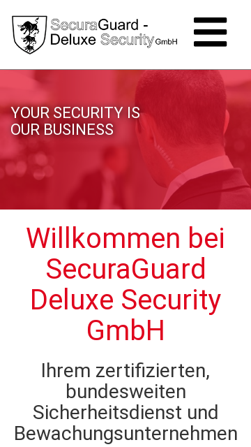 Firmenlogo von Deluxe-Security-Service