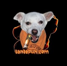 Firmenlogo vom Unternehmen TANTE PUH Onlineservice aus Wohratal (220px)