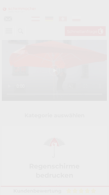 Firmenlogo von Schirmmacher Ströhle GmbH