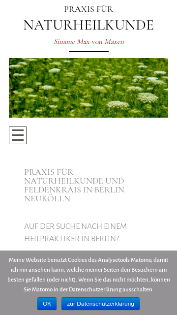 Firmenlogo vom Unternehmen Heilpraktikerin aus Berlin