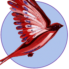 Firmenlogo vom Unternehmen Bird-Shop.de aus Winsen (220px)