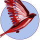 Firmenlogo vom Unternehmen Bird-Shop.de aus Winsen