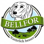 Firmenlogo vom Unternehmen Bellfor aus Bornheim (150px)