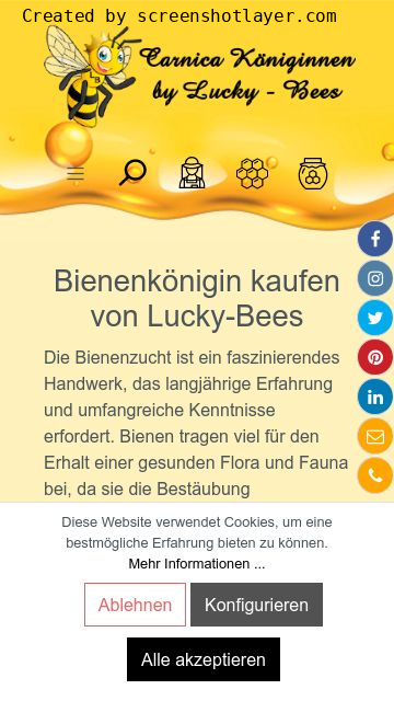 Bienenkönigin kaufen bei Lucky Bees