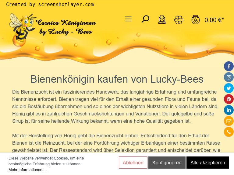 Bienenkönigin kaufen bei Lucky Bees