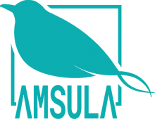Firmenlogo vom Unternehmen Amsula aus Lohne (220px)