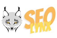 Suchmaschinenoptimierung für Anfänger (220px)