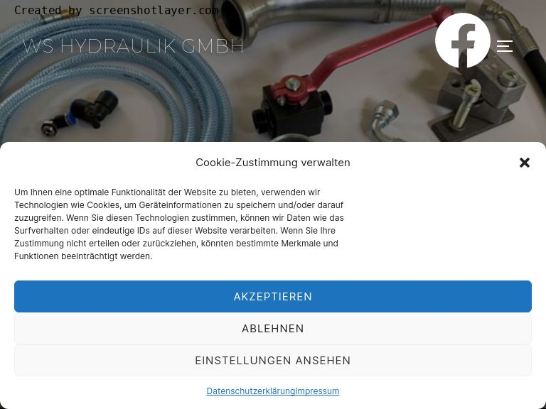 Firmenlogo vom Unternehmen WS Hydraulik GmbH aus Magdeburg