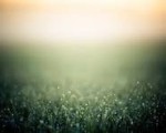  (150px)